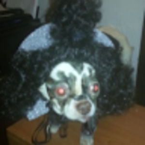 Meet your Posher, Jordan